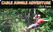Cable Jungle Adventure