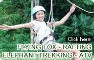 Flying Fox and Rafting and Elephant Trekking and ATV