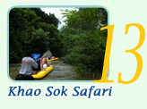 Khao Sok Safari