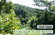 Khaosok Adventure