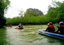 Khai Island and Thamtalu Cave Canoe : JC Tour Phuket