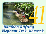 Bamboo Rafting Elephant Trekking at KhaoSok