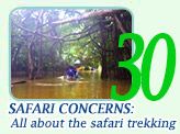 Safari concerns: All about the safari trekking