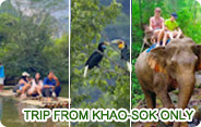 Trip From Khao-Sok only