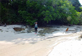 Payam Island with Seashore Province