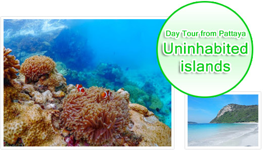 Uninhabited islands Day Tour from Pattaya
