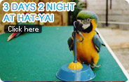 3 Days 2 Nights at Hat-Yai