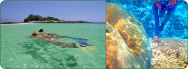Very clear water, Real best point for snorkeling or Swimming.