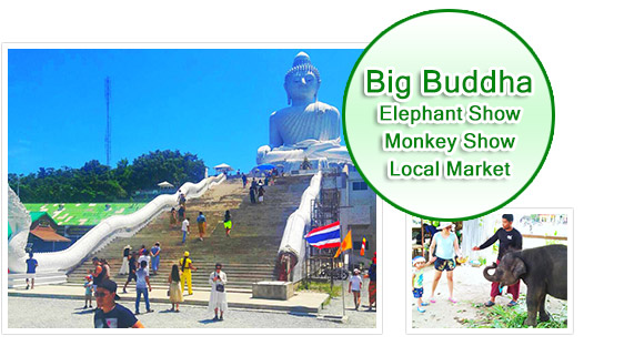Big Buddha + Elephant + Monkey Show + Local Market