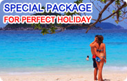 Special Package for Perfect Holiday