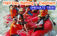 Half Day Rafting and Elephant Trekking