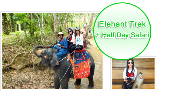 Elephant Trek + Half Day Safari