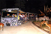 Chiangmai Night Safari : JC Tour Chiangmai