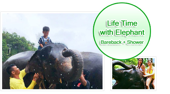 Life Time with Elephant Barback and Shower