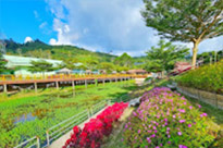 Hatyai-Betong: 4 Days 3 Nights Package