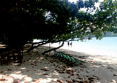 3 Eggs Island and Pearl Island Half Day Trip by JC Tour