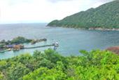 Koh Tao - Turtle Island
