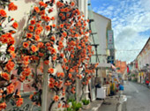 Local Food and Culture Half Day