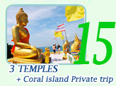 3 Temples with coral island Private trip