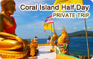 Coral Island Half Day Private Trip