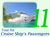 Tour for Cruise Ship Passengers