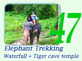 Elephant Trekking Huay Tho Waterfall Tiger Cave Temple