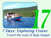 7 Days: Exploring Cruise