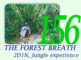 The Forest Breath: 2 Days 1 Nights, Jungle experience