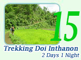 Trekking Doi Inthanon 2Days 1Night
