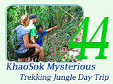 KhaoSok Mysterious Trekking Jungle Day Trip