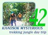 KhaoSok Mysterious Trekking Jungle