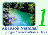 Khaosok National Jungle Conservation