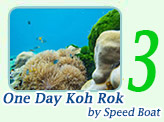 One Day Tour Koh Rok by Speed Boat