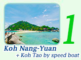Koh Nang-Yuan Koh Tao by speed boat