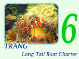 Long Tail Boat Charter Trang