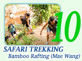 Safari Trekking Bamboo Rafting (Mae Wang)