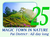 Magic Town in nature. Pai District