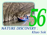 Nature Discovery : Khao Sok