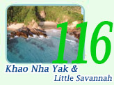 Journey to Secret Land Khao Nha Yak and Little Savanna