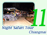 Chiangmai Night Safari Tour