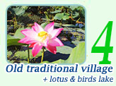 Old Traditional and Lotus Birds Lake