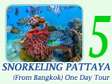 Snorkeling Pattaya-From Bangkok One day tour