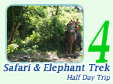 Half Day Safari & Elephant Trekking