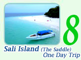 Sali Island One Day Trip