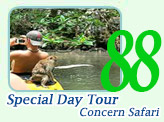Special Day Tour Concerns Safari