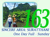 Sincere Area: Surratthani One day Full