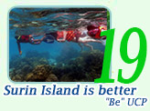 Be UCP Surin Island is better