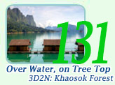 Over Water, On Tree Top 3Days Khaosok