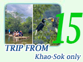 Trip From Khao-Sok only