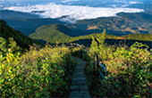 Doi Inthanon National Park